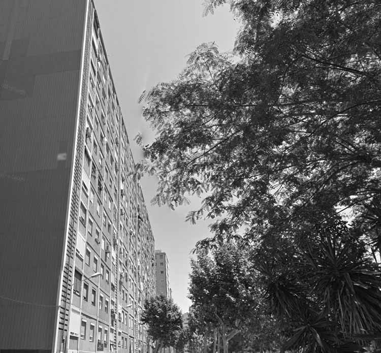 Lavinia 70 — Piso adquirido por MK Premium